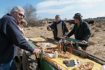 Manade de taureaux camarguais