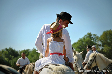 Manade de taureaux camarguais