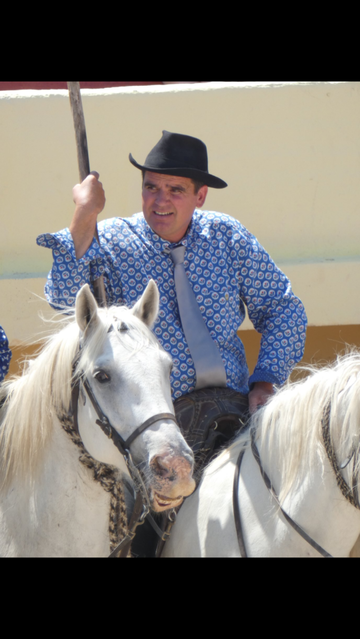 Manade de taureaux camarguais