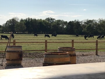 Un domaine de charme et de convivialité pour un séjour magnifique